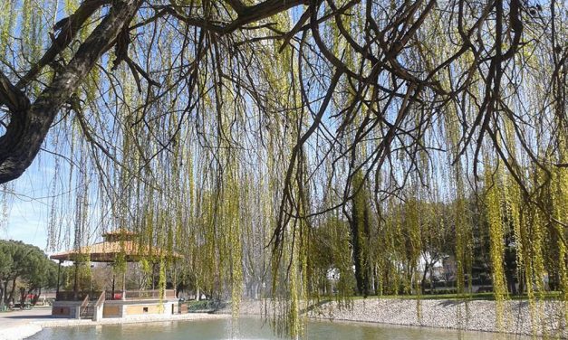 Jardineros en rebeldía