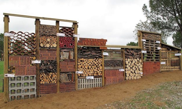 El Hotel de Insectos, candidato al récord Guinness