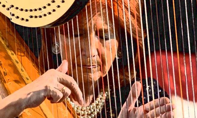 Recital de arpa a beneficio de Hogar Don Orione