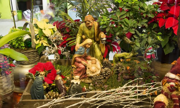 El escaparate navideño