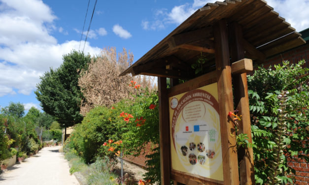 Primavera en Húmera