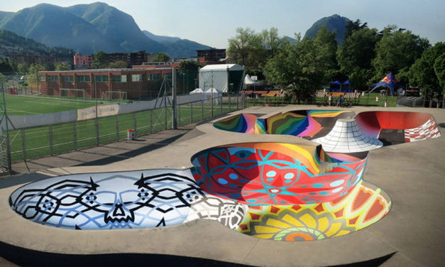 Operación Skatepark