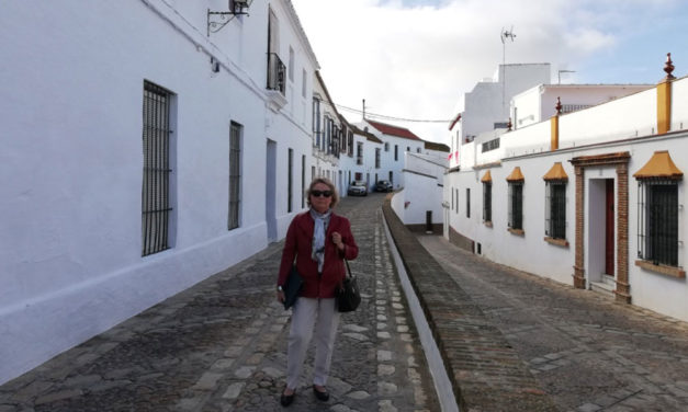 Andaluces en Pozuelo de Alarcón