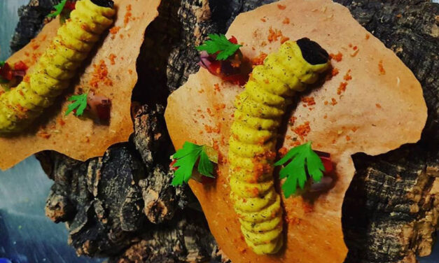 Tapeando por la vida