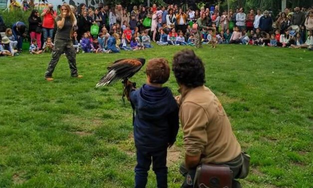 ¿Nos ponemos verdes?