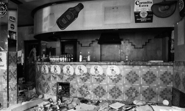 El gato de tu callejón