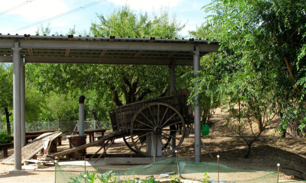 ¿Te vienes al jardín de los orígenes?