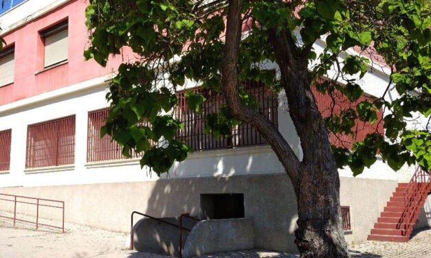 Del Foro a la Cantina