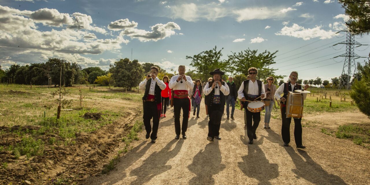 ¡Viva San Gregorio!