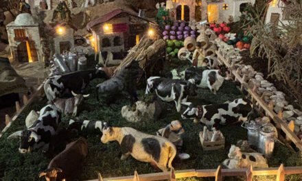 Caridades, vacas y carneros