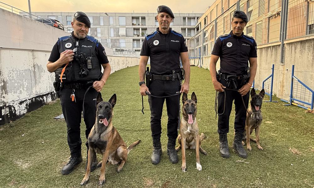 El comando canino